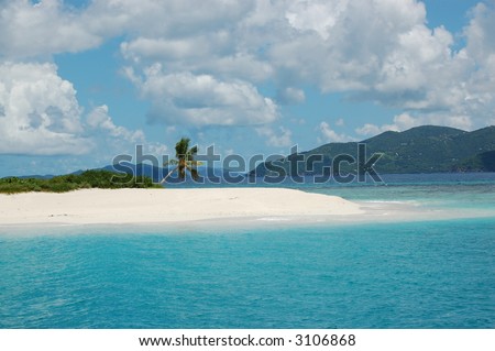 Remote island with palm tree and pristine white sand surrounded by turquoise waters. Sandy Spit. Jost Van Dyke.  British Virgin Islands.