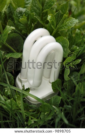 Energy saving compact fluorescent bulb in grass