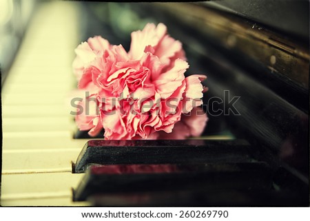 clover flower on piano keyboard