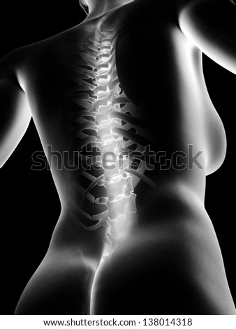 3d rendered anatomy illustration of painful back