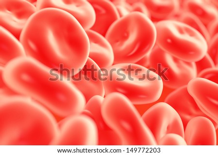 Blood cells , SEM of red & white blood cells