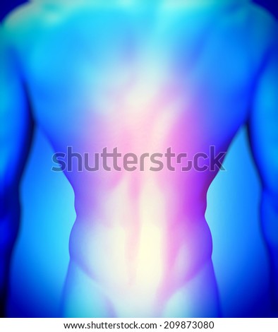 back pain in the human body