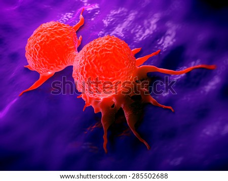 Dividing breast cancer cell.It is in the telophase stage of cell division.Cancerous breast cells form tumours, which possess the ability to invade surrounding tissues.
