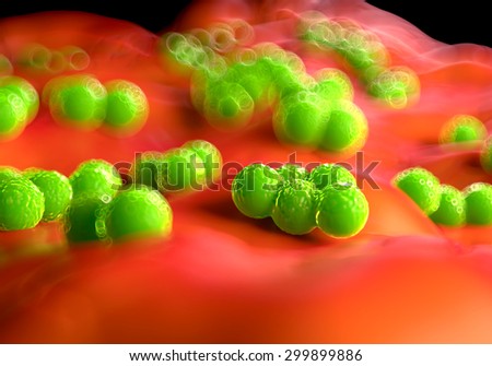 superbug bacteria or Staphylococcus aureus (MRSA) bacteria