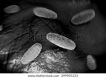 Salmonella typhimurium bacterium, a flagellate, Gram-negative bacillus. S. typhimurium is a major cause of food poisoning (salmonellosis) in humans. Salmonella bacteria are transmitted in food