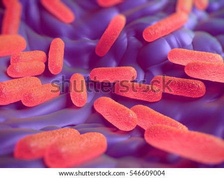 Salmonella enterica enterica, are Gram-negative, rod-shaped cells. Salmonella is a major cause of food poisoning  in humans, most commonly caught from infected pork, poultry and eggs-3D renders