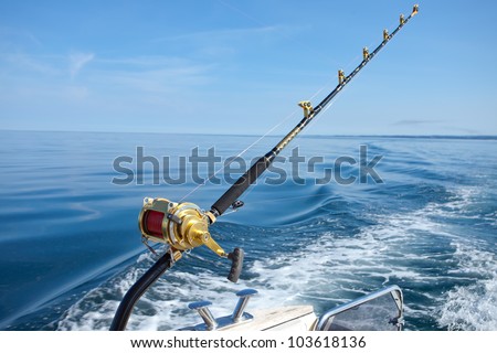 big game fishing reel in natural setting