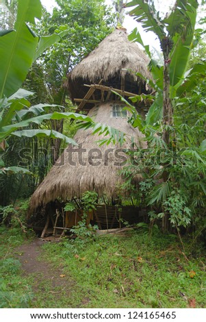 bamboo house deep in the jungle
