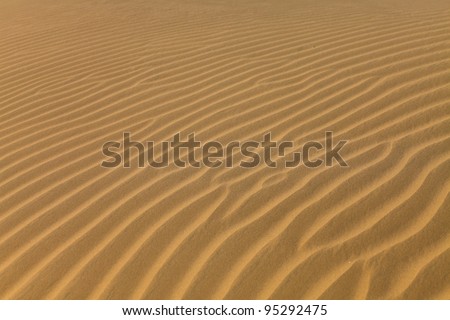 Sand patterns in the Thar desert dunes in India.