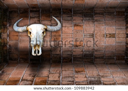 Old buffalo skull  on Old brick wall