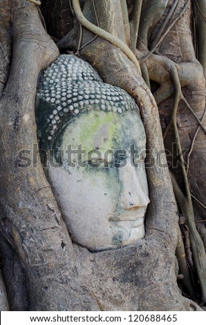 Old Buddhist statue in Old Buddhist temple  in Ancient City at AYUTTHAYA World Heritage, Thailand.