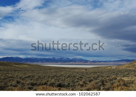 High desert along jeep road to salt flats and Desatoya Mountains, Nevada