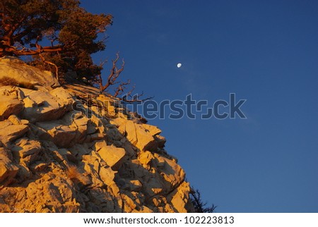 Rocks, tree and moon in the early morning, Sierra Nevada, California