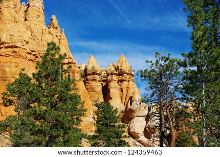 Spectacular rock towers, Bryce