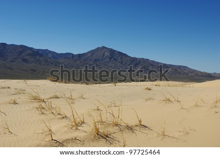 Providence Mountains California