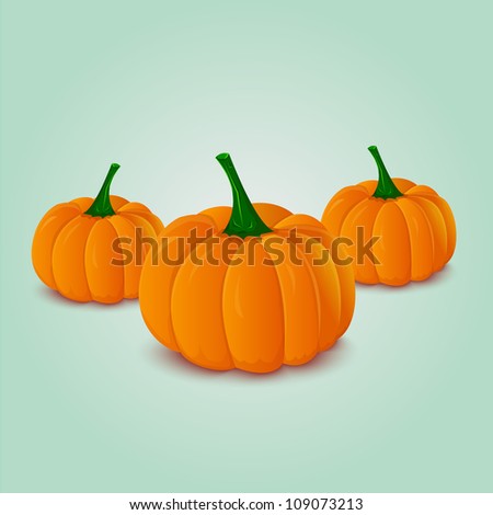 is pumpkin a fruit or a vegetable fruit in vagina is pumpkin a fruit or a vegetable fruit in vagina