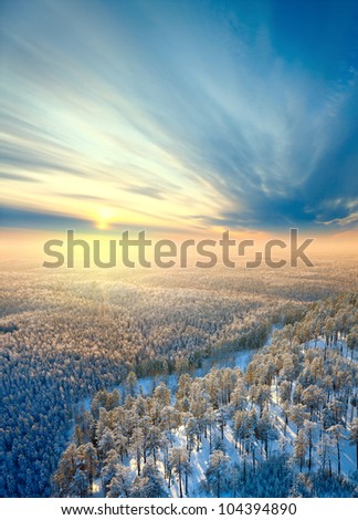 Aerial view on the forest hills during winter sunset. Crowns of coniferous trees are lighted up by a bright setting sun.