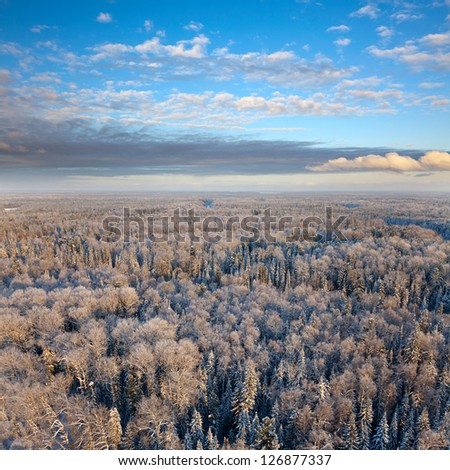 Aerial view of forest plain during a winter day.