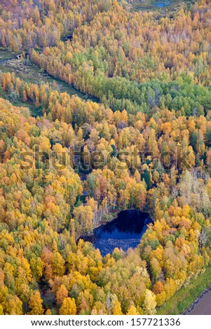 Aerial view of lowland of forest lake a autumn during a flight.