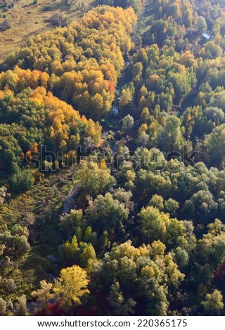 Aerial view of forest beside river in autumn. Leafs of trees are painted in different bright colors.