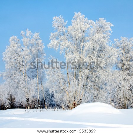The Winter. The Freezing day. The Snow rests upon the land and tree..
