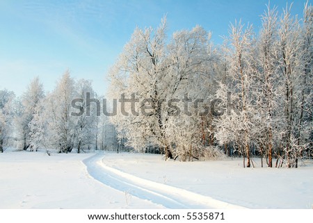 The Winter. The Freezing day. The Snow rests upon the land and tree..
