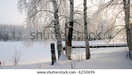 The Winter. The Freezing day. The Snow rests upon the land and tree.