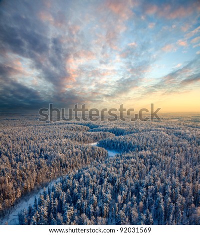 Aerial view of pine forest during a winter sunset.