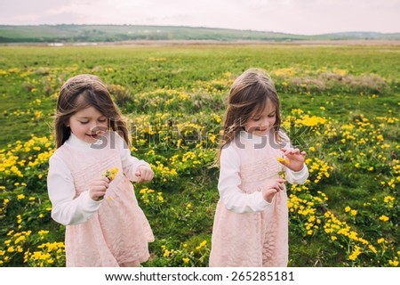 cute twin sisters, embrace on a background field with yellow flowers