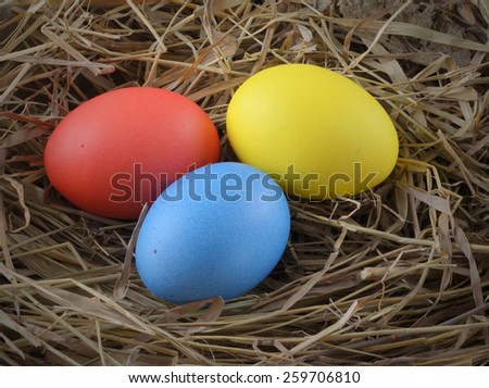 yellow, red and blue color painted Easter eggs hay