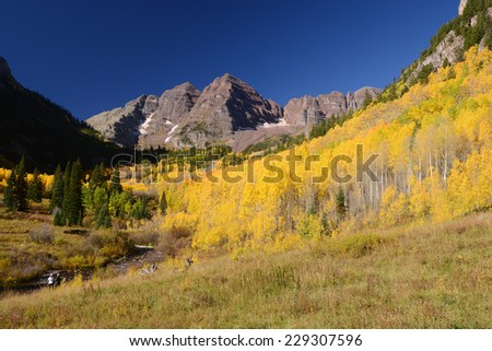 aspen tree with mountain peak in colorado during mid autumn