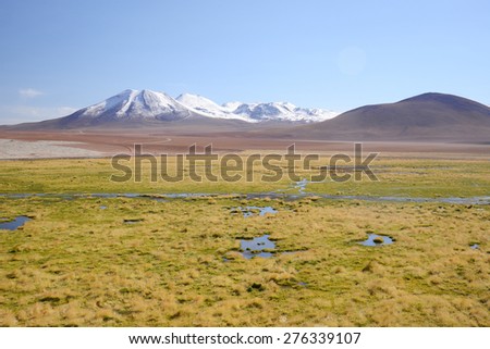 snow mountain and wet land in northern chile