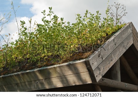 Roof covered by turf with growing plants