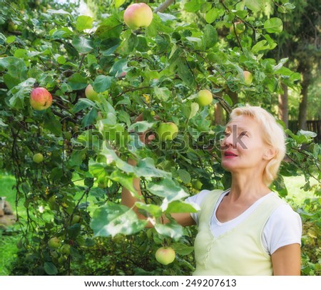 Portrait of a woman collecting apples in the garden