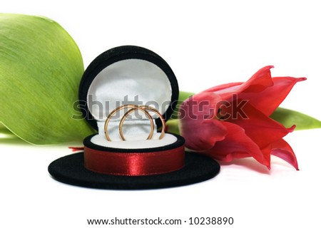 stock photo Wedding rings in a casket with a red tulip on a white 
