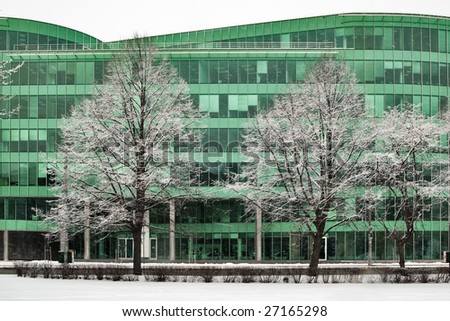 Snow-covered trees on a background of a green building