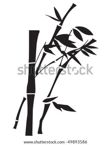 Bamboo Stock Vector Illustration 49893586 : Shutterstock