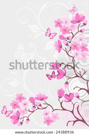 cherry blossoms wallpaper. cherry blossoms wallpaper.