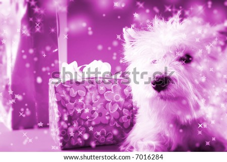 Cute white puppy with present and snowflakes.