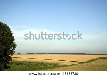 Beautiful country landscape view. Great nature scene.