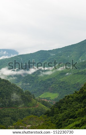 Foggy hills - mountains landscape mist - mist and mountain