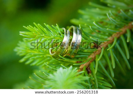 Wedding rings on a tree twig