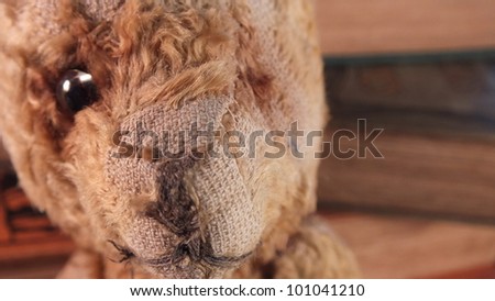 Teddy bear close up, old, antique bear with one eye and bald patches
