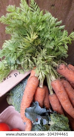 Delivered organic vegetable box including carrots, tomatoes and broccoli