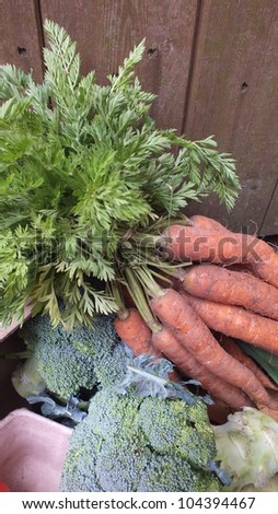 Delivered organic vegetable box including carrots and broccoli