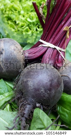 close up of organic beetroot , with lettuce and spinach leaves