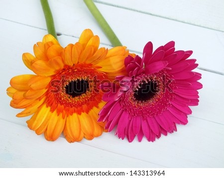 Two gerbara, orange and pink flowers, laying on white wooden floorboards