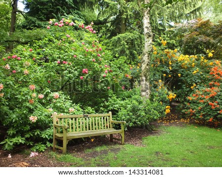 Empty Park bench among summer time blooming azalea bushes , a peaceful park environment