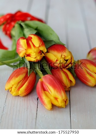 A simple bouquet of red and yellow spring tulips, tied with a red ribbon,  laying on pale green wooden floor boards. A gift for mother\'s day, valentines or easter . Shallow depth of field
