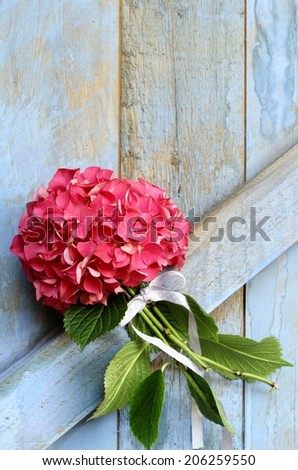 Bouquet of pink hydrangea tied with ribbon hanging on a painted wooden barn door, shabby chic, rustic wedding decoration